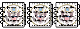 Juvenile Teen Court Program Provider
